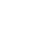 11.png