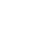 13.png